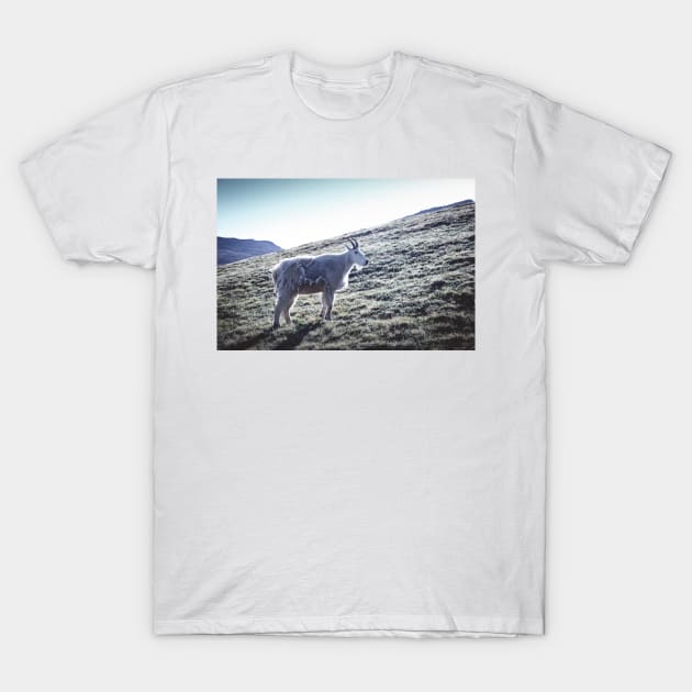 Mountain Goat 3 T-Shirt by jonesing